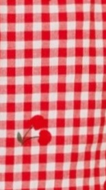 Birkley Shorts - Cherry Gingham