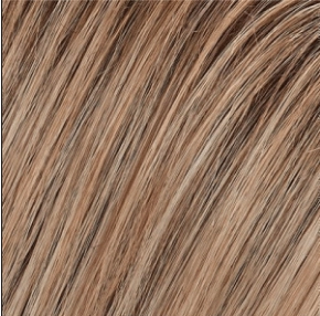 Blake (Renau Colors) Wig by Jon Renau | Remy Human Hair (Lace Front Hand Tied Mono Top)