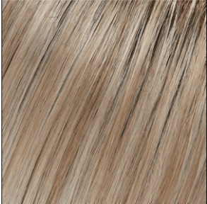 Blake (Renau Colors) Wig by Jon Renau | Remy Human Hair (Lace Front Hand Tied Mono Top)