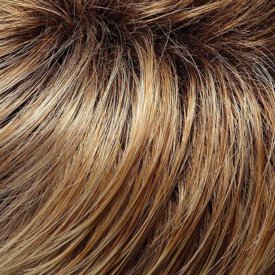 Petite Blake (Renau Colors) Wig by Jon Renau | Remy Human Hair (Lace Front Hand Tied Mono Top)