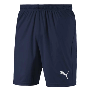 Puma - Men's Liga Core Shorts (703436 06)